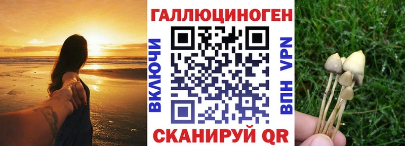 Псилоцибиновые грибы ЛСД blacksprut ТОР Иркутск как найти закладки